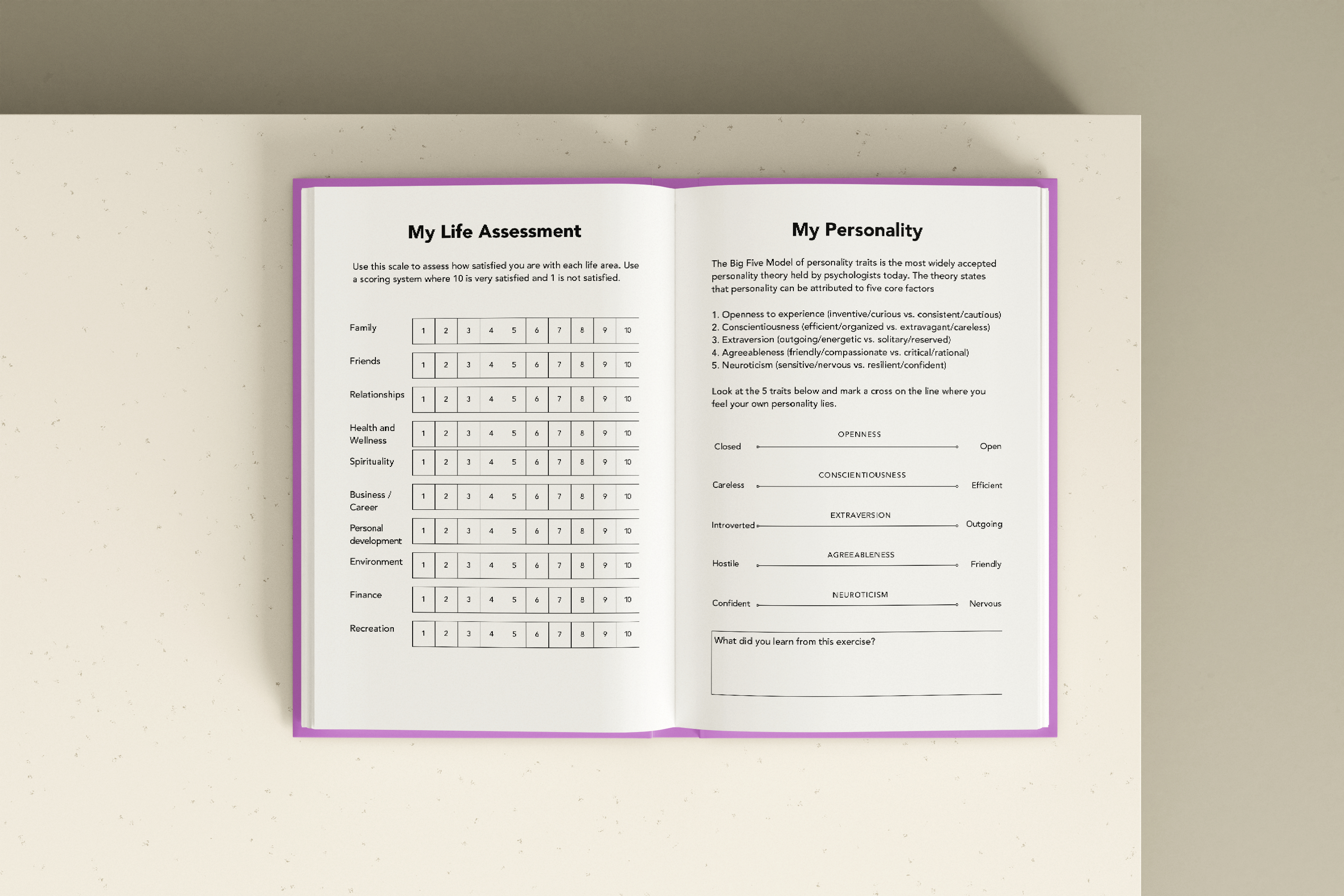 Vision Board Journal: Create Your Dream Life with Guided Goal Setting and Manifestation Vision Board Journal: Create Your Dream Life with Guided Goal Setting and Manifestation